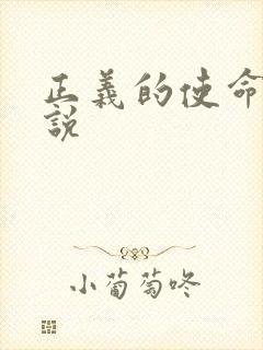 正义的使命 小说封面