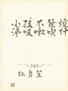 小孩不发烧流鼻涕咳嗽吃什么药