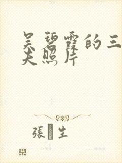 吴碧霞的三任丈夫照片