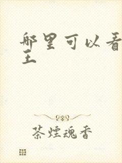 哪里可以看航海王