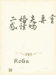 二婚夫妻会有真感情吗