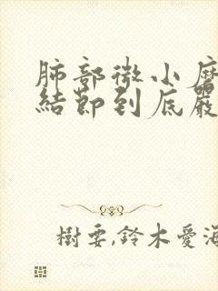 肺部微小磨玻璃结节到底严不严重