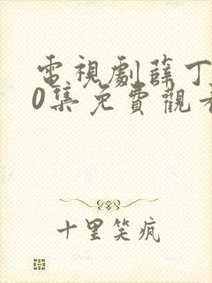 电视剧薛丁山40集免费观看封面