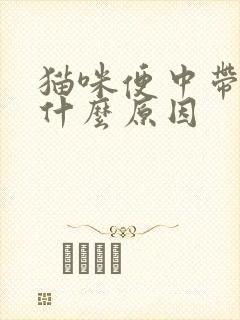 猫咪便中带血是什么原因