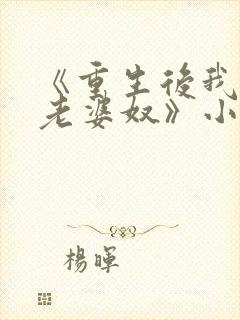 《重生后我成了老婆奴》小说