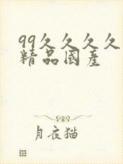 99久久久久久精品国产封面