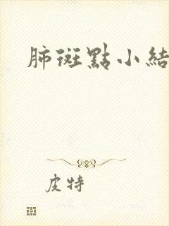 肺斑点小结节影封面