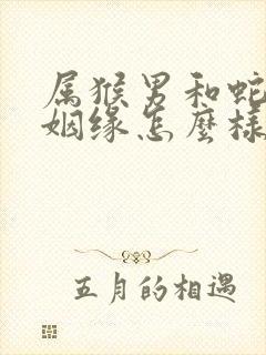 属猴男和蛇女的姻缘怎么样封面