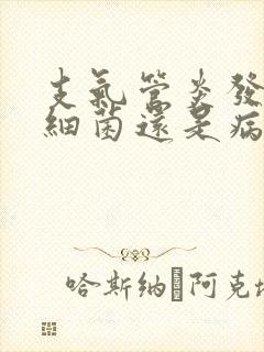 支气管炎发烧是细菌还是病毒