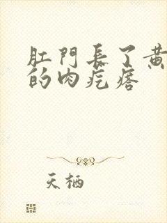 肛门长了黄豆大的肉疙瘩