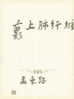 右上肺纤维条索影