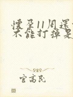 怀孕11周还能不能打掉是无痛的吗