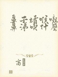 鼻子堵喉咙痛流鼻涕吃什么药