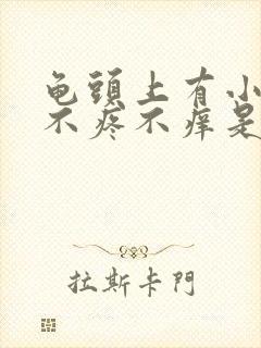 龟头上有小红点不疼不痒是怎么回事