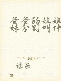 爸爸的姐姐和妹妹分别叫什么称呼