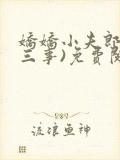 娇娇小夫郎(二三事)免费阅读