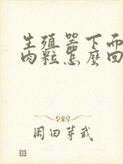 生殖器下面长小肉粒怎么回事