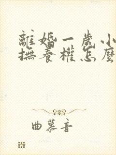 离婚一岁小孩子抚养权怎么判定封面