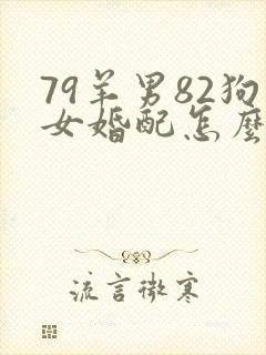 79羊男82狗女婚配怎么样封面