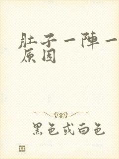 肚子一阵一阵疼原因