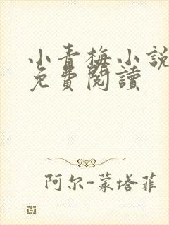 小青梅小说全文免费阅读