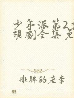 少年派第2季电视剧全集免费观看