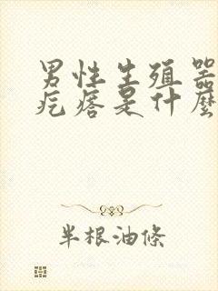 男性生殖器起肉疙瘩是什么原因