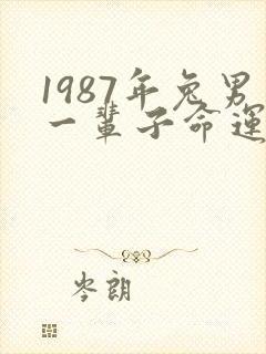 1987年兔男一辈子命运