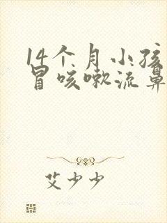 14个月小孩感冒咳嗽流鼻涕怎么办