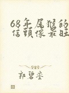 68年属猴的微信头像最旺财