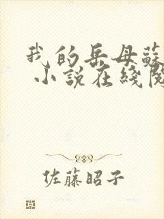 我的岳母苏沛真 小说在线阅读