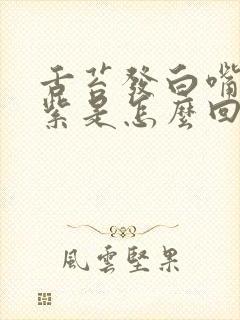 舌苔发白嘴唇发紫是怎么回事