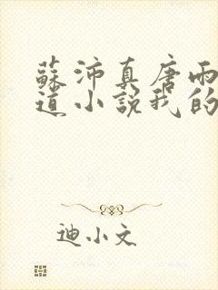 苏沛真唐雨菲林道小说我的岳母