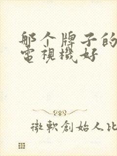 那个牌子的液晶电视机好