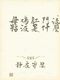 母鸡肛门流白色粘液是什么原因