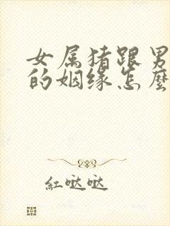 女属猪跟男属猴的姻缘怎么样