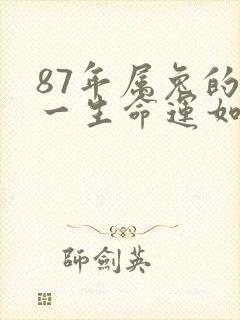 87年属兔的人一生命运如何