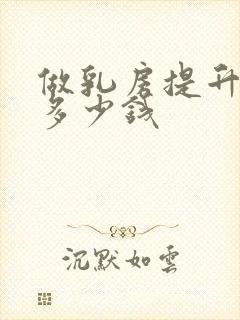 做乳房提升手术多少钱