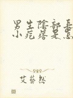 男生阴部长了个小疙瘩是怎么回事