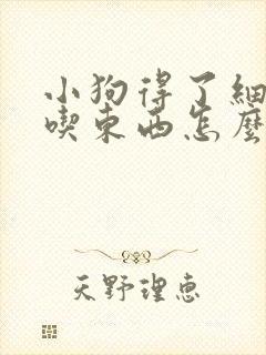 小狗得了细小不吃东西怎么办