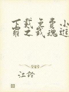 下载免费小说斗罗之武魂进化系统