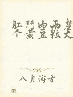 肛门内两厘米有个黄豆粒大的硬疙瘩