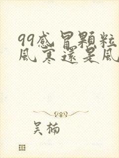 99感冒颗粒是风寒还是风热封面