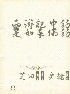 西游记中的唐僧是如来佛的第二个