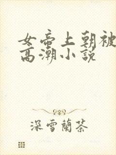 女帝上朝被调教高潮小说