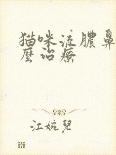 猫咪流脓鼻涕怎么治疗