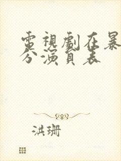 电视剧在暴雪时分演员表封面