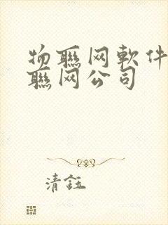 物联网软件开发联网公司