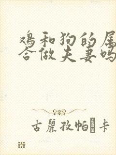 鸡和狗的属相适合做夫妻吗