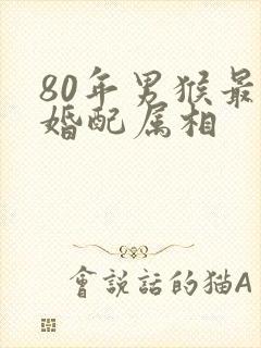 80年男猴最佳婚配属相